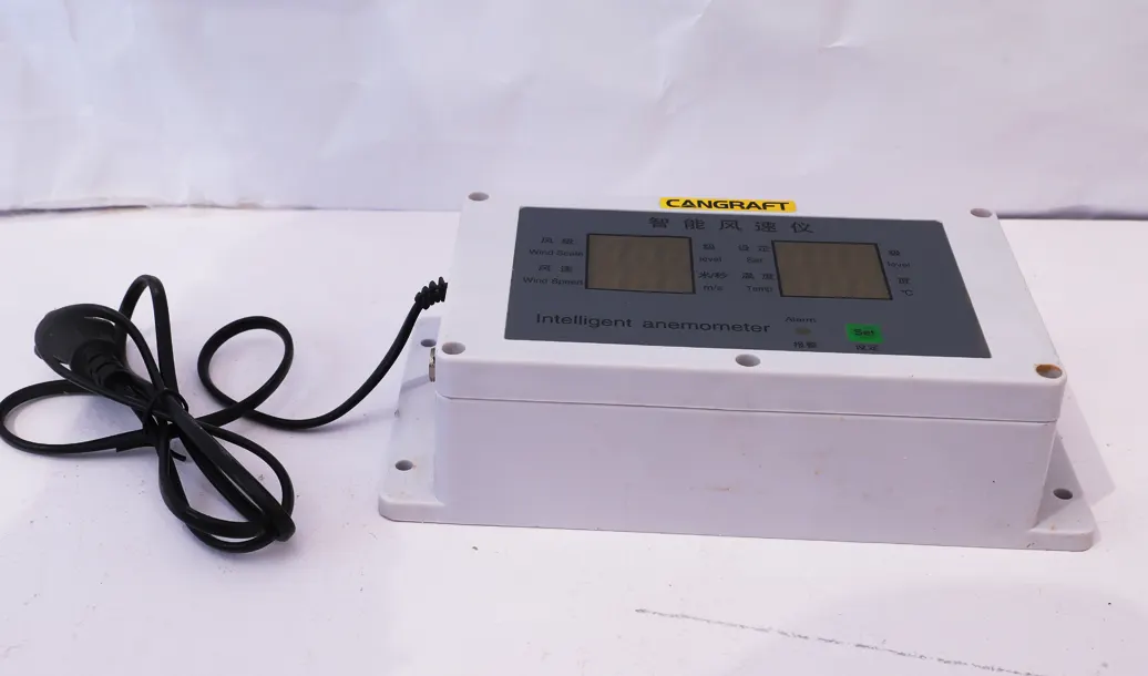 Intelligent wind speed anemometer for crane wind monitoring